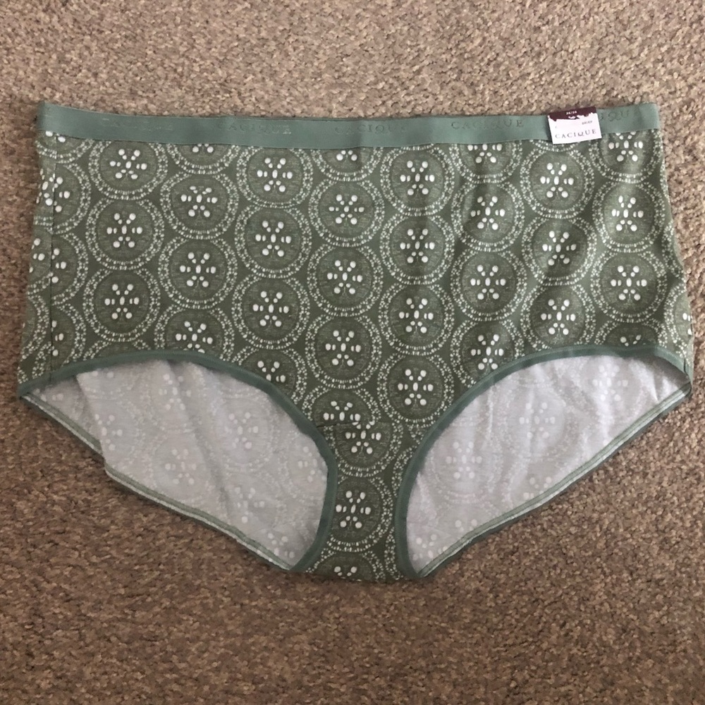 Lane Bryant Cacique Cotton Full Brief 26/28